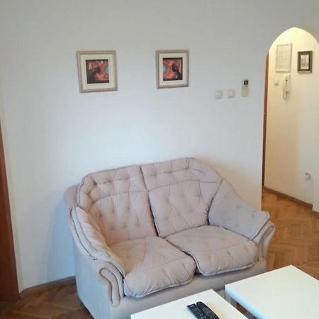 Jovana'S Apartment Novi Sad Bagian luar foto