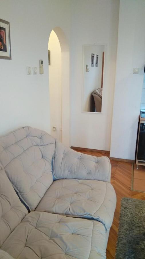 Jovana'S Apartment Novi Sad Bagian luar foto