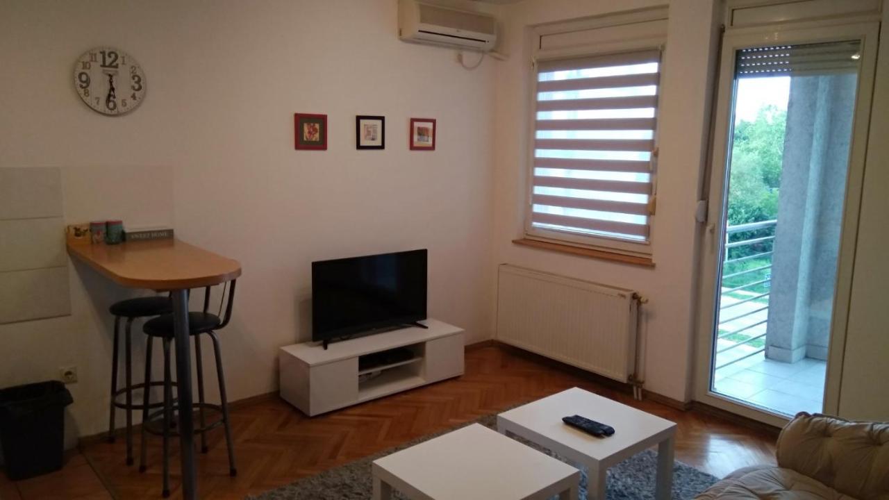 Jovana'S Apartment Novi Sad Bagian luar foto