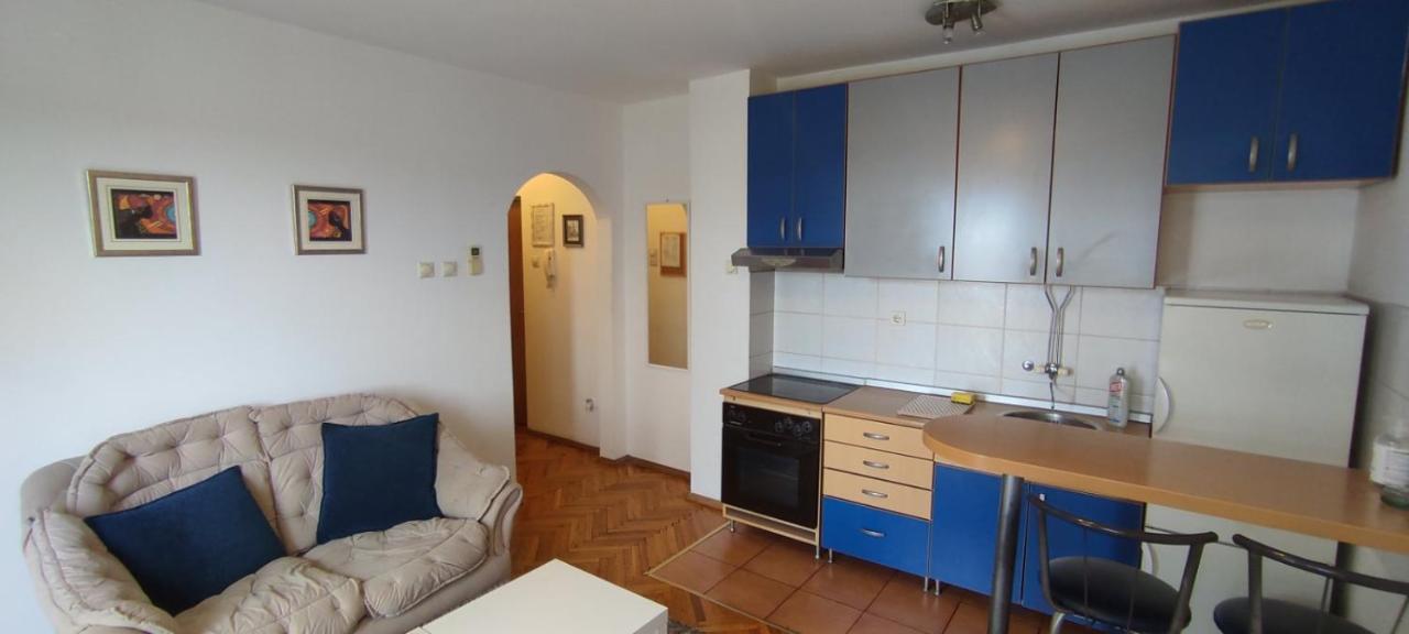 Jovana'S Apartment Novi Sad Bagian luar foto
