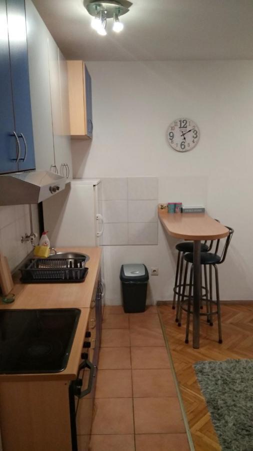 Jovana'S Apartment Novi Sad Bagian luar foto
